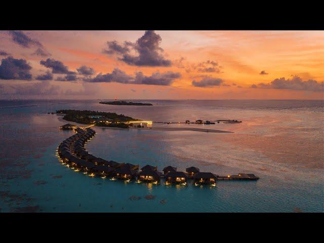 Cocoon Maldives | Official Video