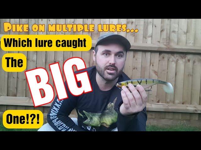 lure fishing for river pike catches with multiple lures