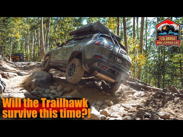 Will the Cherokee finish Red Cone? | Colorado Trail Guide