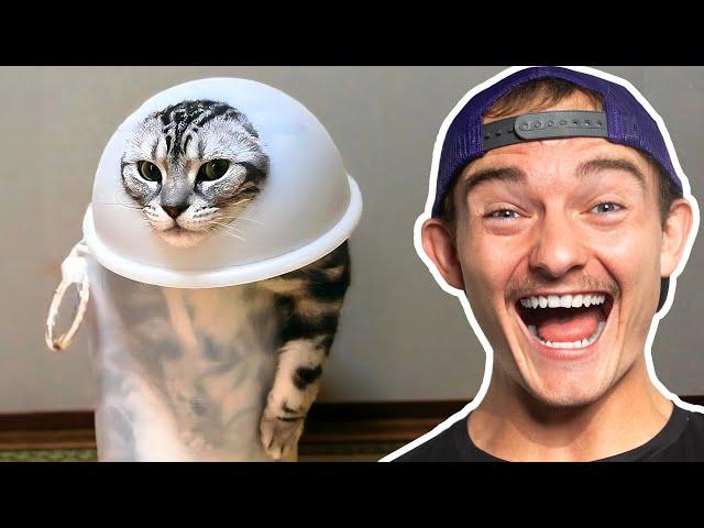 Dumbest Animals In The World