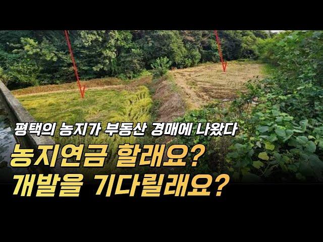 개발호재가 있는데 농지연금을 포기해?? 농지연금으로 활용할 농지라면 기대 이익을 낮춰야 하나? 아니면 더? ㅎ