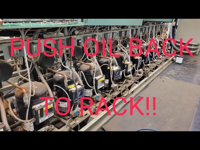 Supermarket Rack Refrigeration - How to Push The Oil Out of a Scroll Compressor