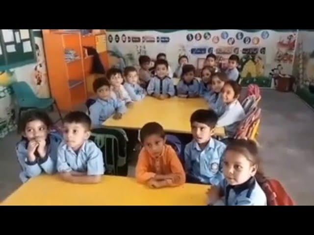 What comes after || alphabet || the nexus education system
