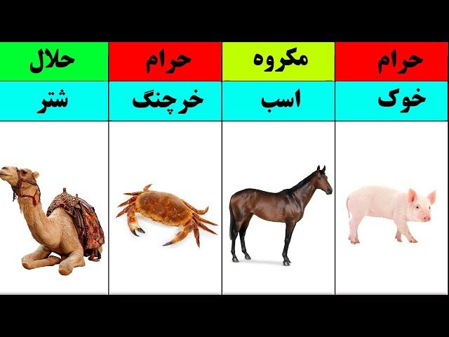 حیوانات حلال و حرام گوشت در اسلام