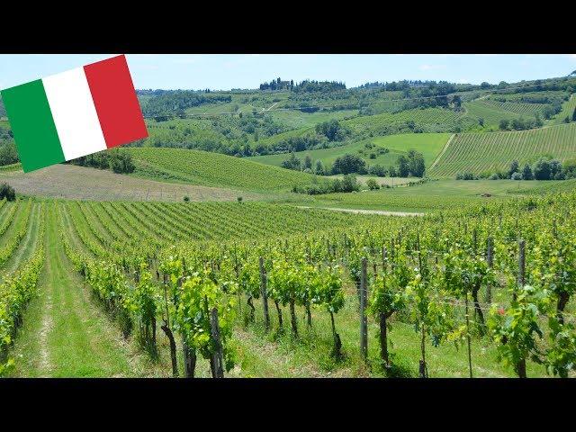 BEAUTIFUL TUSCANY VINEYARDS (AND WINERY), ITALY