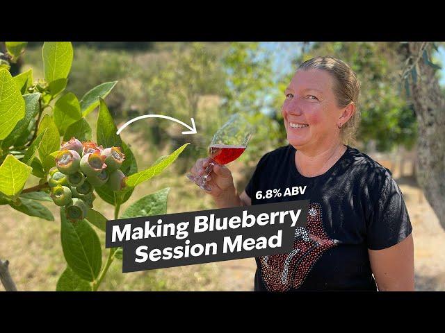 Brew, Baby, Brew! Making a Session Mead (Hydromel) from Blueberries