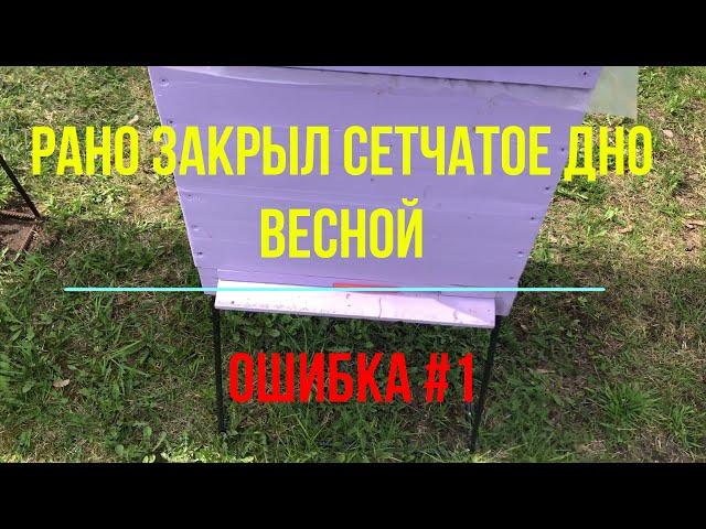 Сырость в улье на сетчатом дне весной