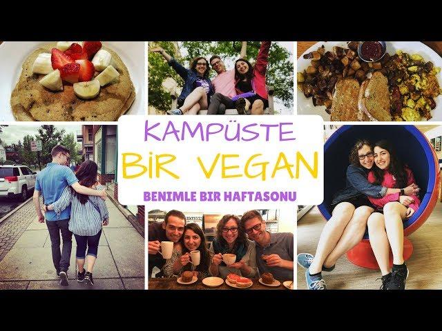 KAMPÜSTE BİR VEGAN | AMERİKALILAR TÜRKÇE KONUŞUYOR :)