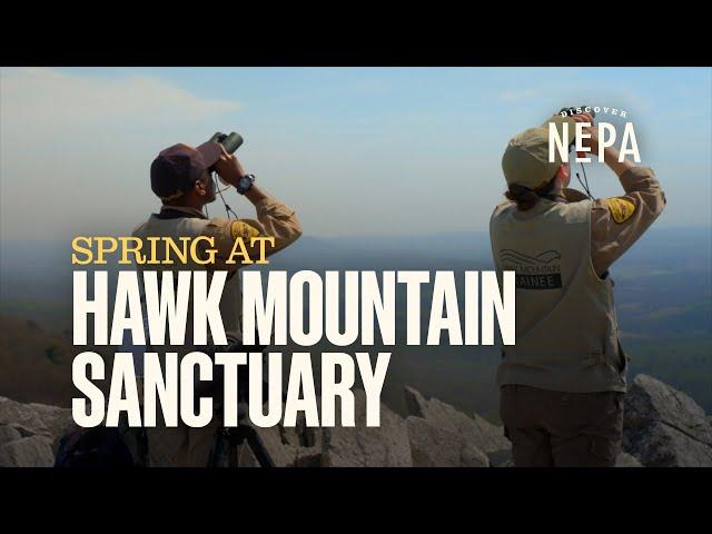 Hawk Mountain Sanctuary Spring 2023