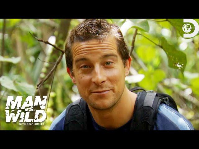 Bear Grylls Reveals His Best Jungle Survival Tips | Man vs. Wild | Discovery