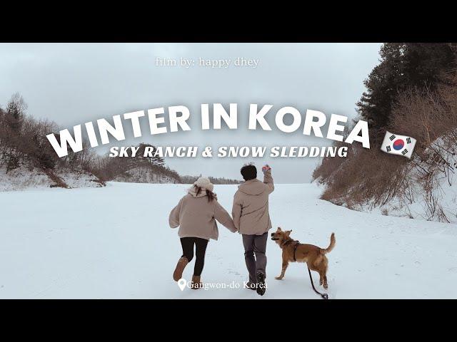 Korea Vlog | ️ Winter in Gangwon-do, Sky Ranch + Snow Sledding with our BIG DOG 