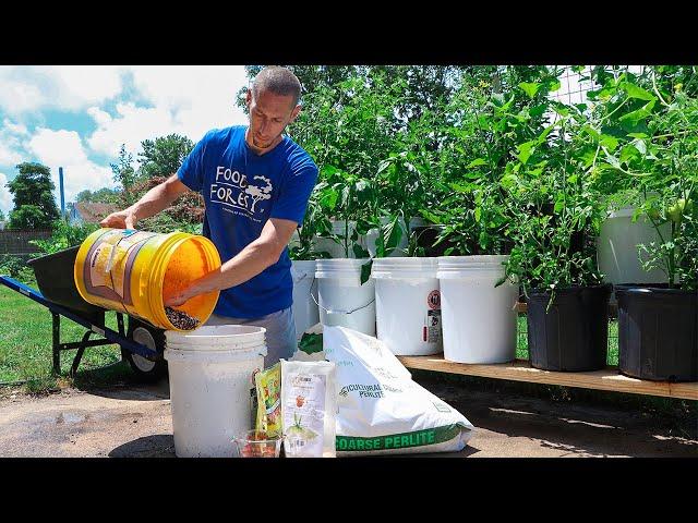 How to Grow a CONTAINER Garden, CHEAP and EASY Patio Gardening