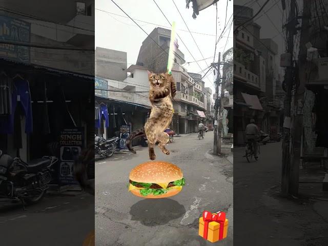 billi boli myau  #song #hindi #bollywood #funny #cat #billibolimyau