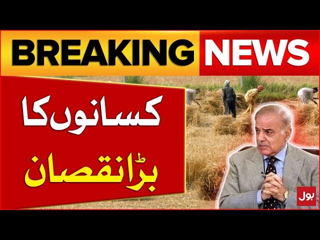 Wheat Farmer Big Loss | PM Shehbaz Sharif Angry Over Wheat Scandal | Inflation in Pakistan