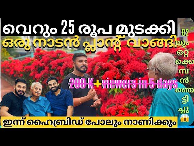 വിലകുറഞ്ഞ നാടൻ ചെടി കൊണ്ട് ഹൈബ്രിഡ്നെ പോലും തോൽപ്പിക്കുന്ന വിപ്ലവം തീർത്ത ഈ ഒറ്റക്കൊമ്പനായ 82 കാരൻ