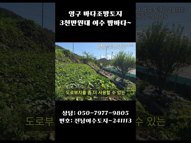 바다 영구 조망 오션뷰~ 3,900만원 전남 여수 화양면 땅 토지 급매물 매매 싼땅 농막터 주말농장 여수시 화양지구 장수리 땅매매 농촌체류형쉼터 부지 토지 땅 매물 매매