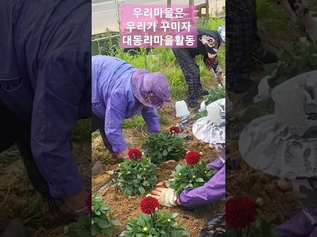 대동리마을환경개선을 위한 꽃심기