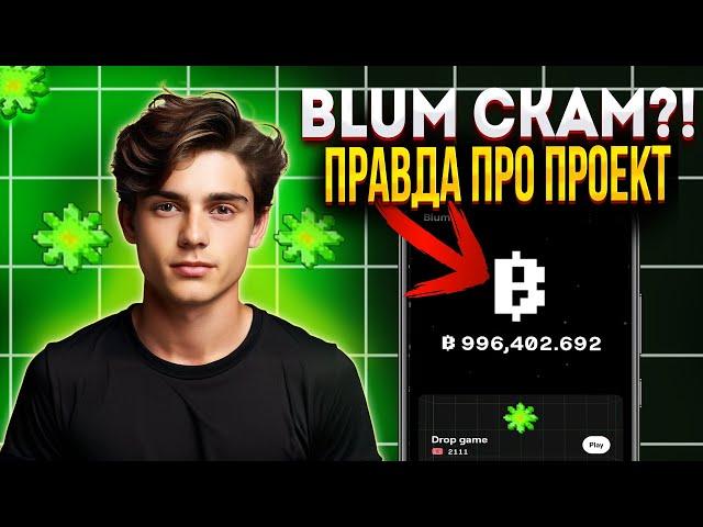 Blum - СКАМ ЧИ ГЕМ ПРОЕКТ I ВСЯ ПРАВДА ПРО BLUM