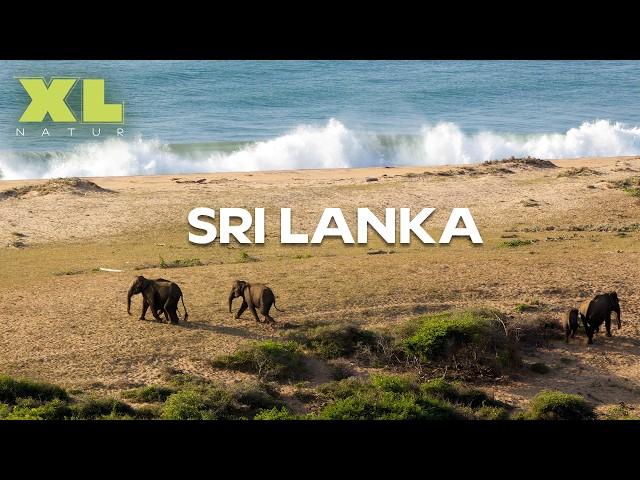 Sri Lanka: Das schönste Naturparadies unserer Erde? | XL Naturdoku