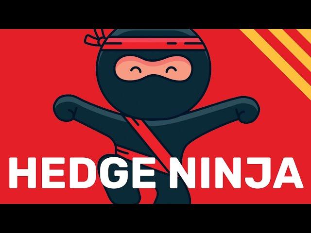 Hedge Ninja: The ONLY Trading Robot You Need