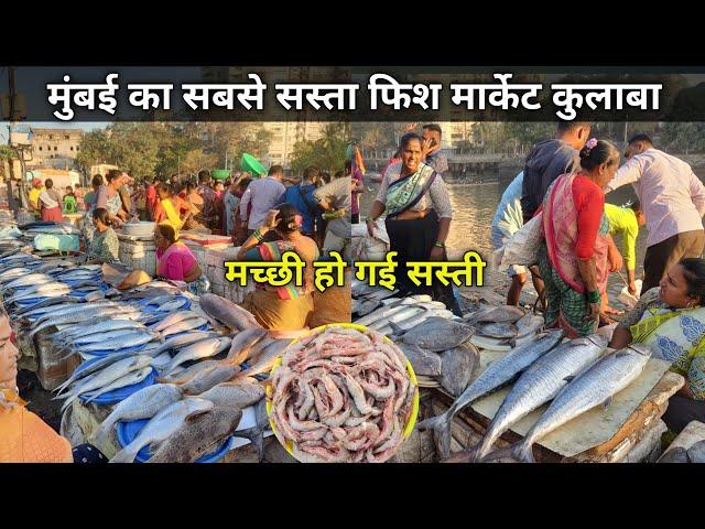 Colaba Sassoon Dock Fish Market | Colaba Wholesale Fish Market | Mumbai Colaba Fish Market