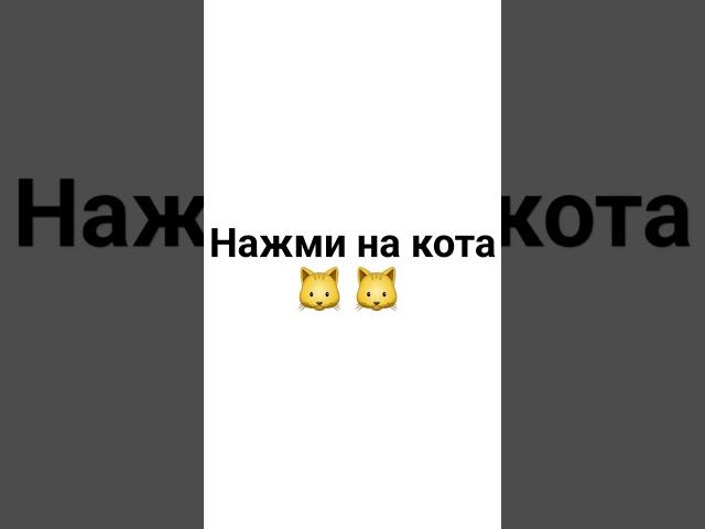 нажми на кота