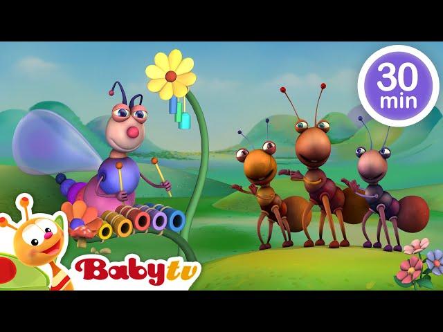 Musical Adventure  ! African, Jazz, Classical and More!  | Music for Kids | Kids Songs @BabyTV