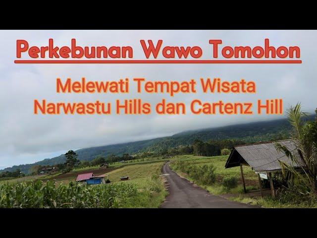 Objek Wisata Tomohon 2023 | Perkebunan Wawo Tomohon | Narwastu Hills | Cartenz Hills