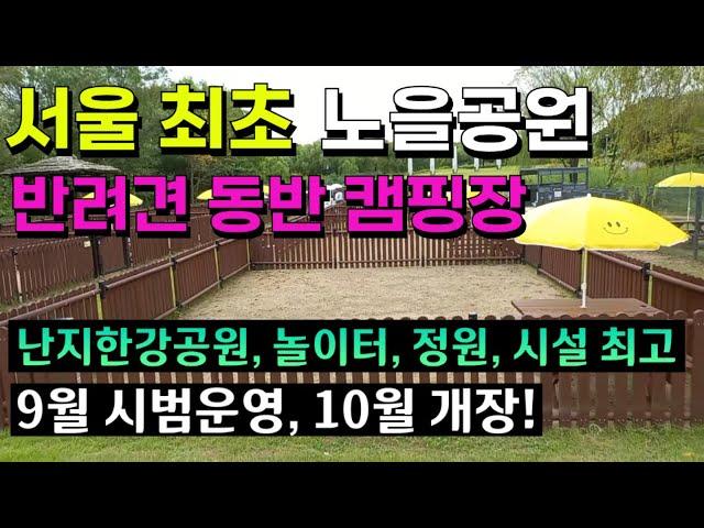 최신정보! 서울 최초 노을공원 반려견 동반 캠핑장ㅣ애견동반 캠핑장 개장ㅣ한강캠핑장, 난지한강공원, 월드컵공원, 하늘공원, 노을공원, 노을캠핑장ㅣ애견놀이터, 애견정원, 단독형 사이트