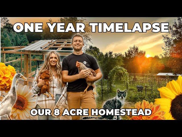 Building a Homestead: One Year in the Making | HOMESTEAD TIMELAPSE