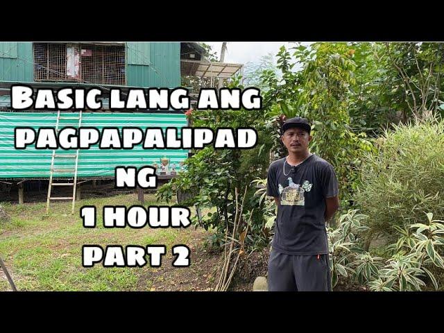 HINDI SYA NAHIRAPAN MAG PALIPAD NG 1 HOUR: CONRAD LIBERATO PART 2 |Reggie Cruz Loft & Aviary