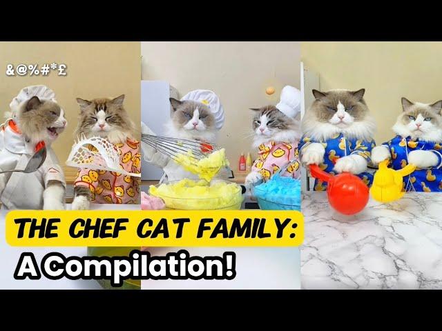 The Chef Cat Family | That Little Puff