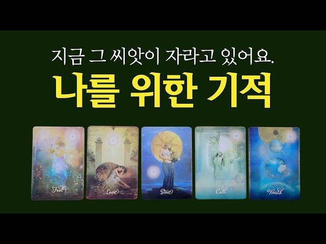 [타로] 나를 위해 이루어질 기적 ️ 지금 기적의 씨앗이 이미 자라고 있어요.
