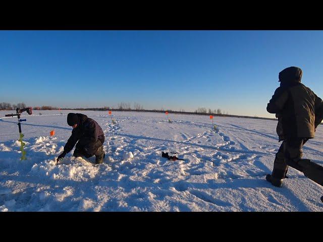 БЕГИ ЗА БАГРОМ! Там МОНСТР! Такой рыбалки мы не ожидали! Трофейная рыбалка на жерлицы.