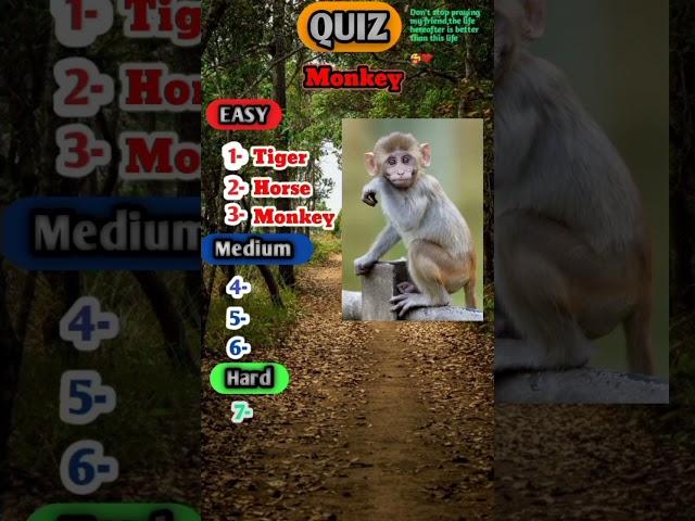 Can you name these 7 animals? challenging quiz | quiz blitz | general knowledge @AllWiseQuiz