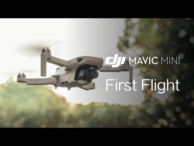 Mavic Mini | How to Fly Mavic Mini