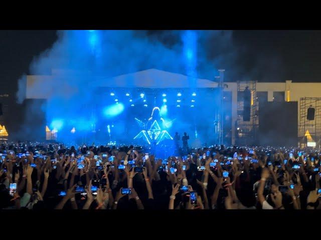 Going for a live concert for the first time -  || Alan walker||