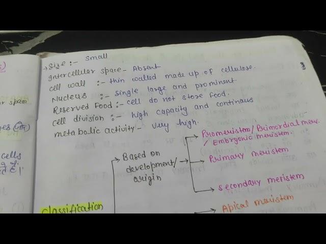 Meristems and (Meristematic Tissues) || classification of meristem # educational video