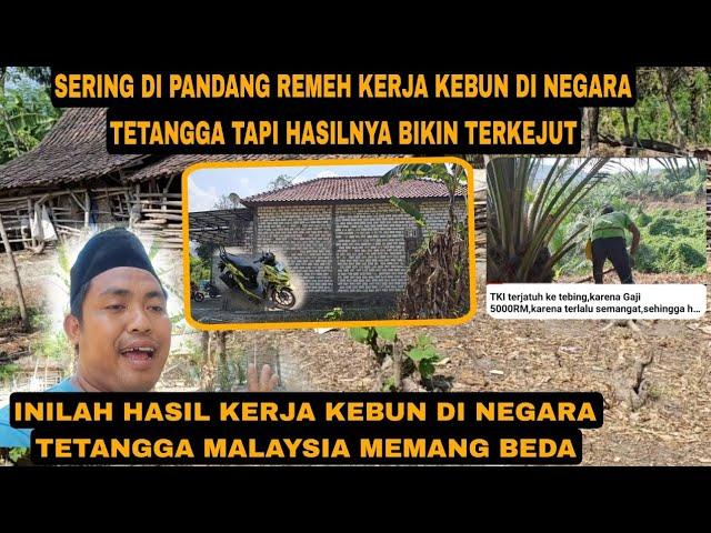 SEBAB INI SAYA PILIH MERANTAU DI MALAYSIA KERJA KEBUN DI MALAYSIA HASILNYA LUAR BIASA