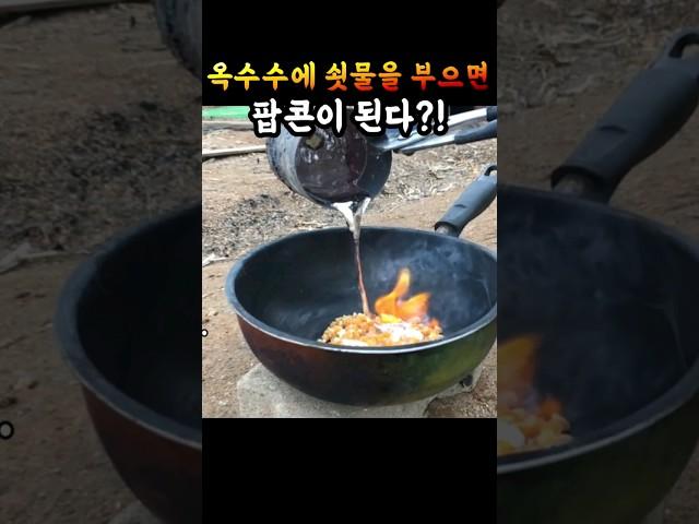 팝콘은 1000도에서 가장 맛있습니다.