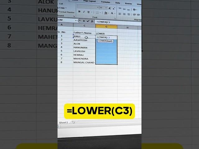 Lower Case Formula Use in Excel | How to Change Uppercase Letter to Lowercase in Excel  #msexcelwire