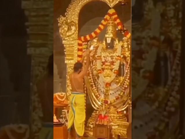 Live Tirupati Balaji Aarti.लॉर्ड बालाजी आरती ! Tirupati Balaji Darshan#viral #status #pr local