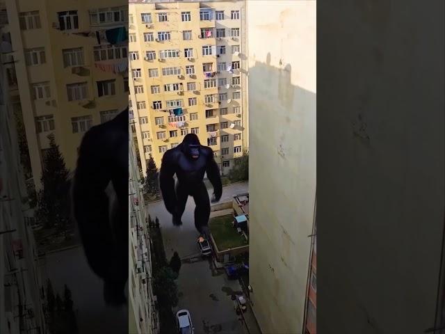 King Kong Takes Over the City in Stunning CGI!