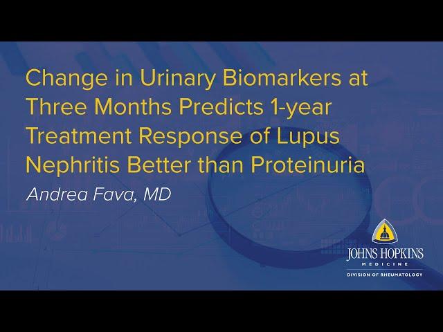 Urinary Biomarkers Predicts Treatment in Lupus Nephritis | Johns Hopkins Rheumatology