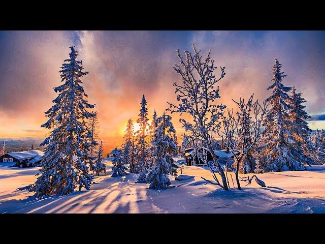 You Can Listen To This Music Forever! A Beautiful Melody To Tears! Magical Winter Tunes! Music 2022