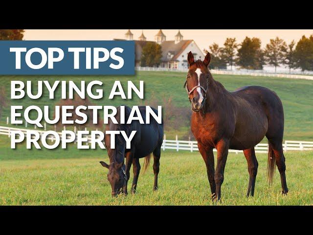 Our Best Tips for Buying and Equestrian Property in France