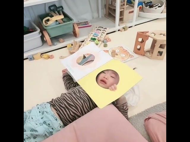 [정이안]23년 붉은태양