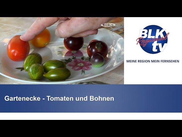 Gartenecke - Tomaten und Bohnen