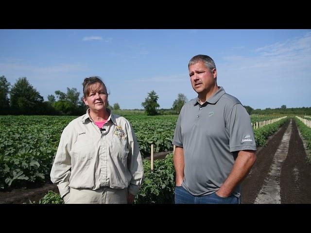 Meet Jamie Ostrowski and Matt Jansen