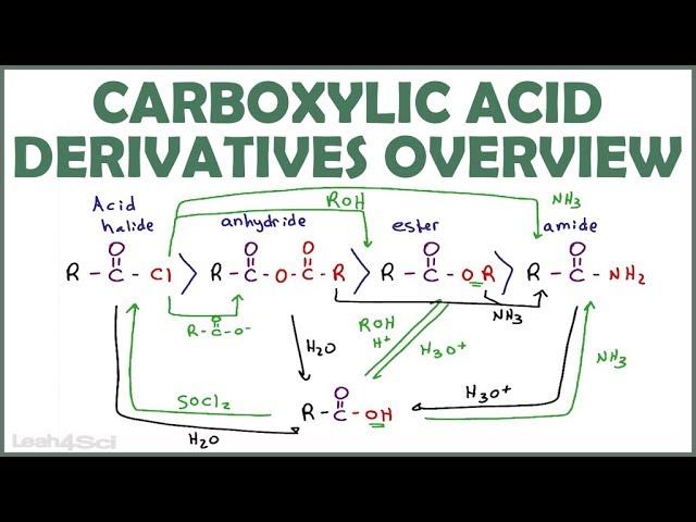 Carboxylic Acid Derivatives Overview and Reaction Map